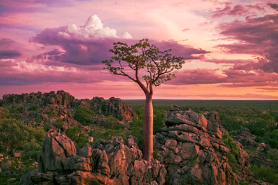 Blue Ant Media Launches Love Nature on DELTA in the Netherlands